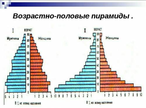 Дайте характеристику половозрастной пирамиды (обе пирамиды)​