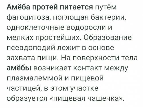 3 Вопроса, Тема «Общая характеристика подцарства Простейшие» 1. Каковы особенности строения амёбы пр