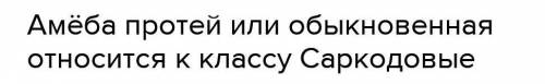 3 Вопроса, Тема «Общая характеристика подцарства Простейшие» 1. Каковы особенности строения амёбы пр