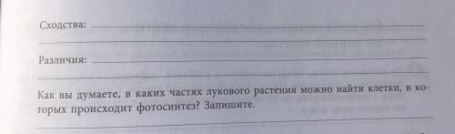 ( 5 класс) выполните задание, нужно найти сходства и различия, ну сами увидите