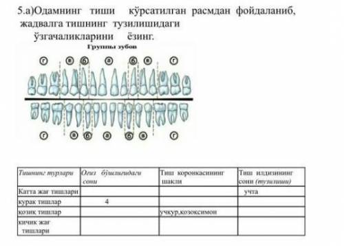 Заполните таблицу на русском языке можно ​точный ответ нужно