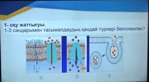 1-3 сандарымен тасымалдаудың қандай түрлері белгілеген?