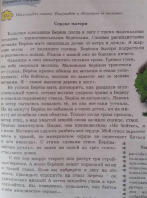 Послушай сказку. Подумайте и объясните её название. Сердце матери.Мазмуны керек.​Өтинем.30 минутта