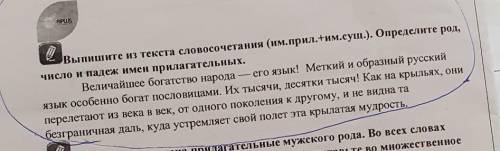 Выпишите из текста словосочетания имя прилагательное и существительное Определите род число падеж им