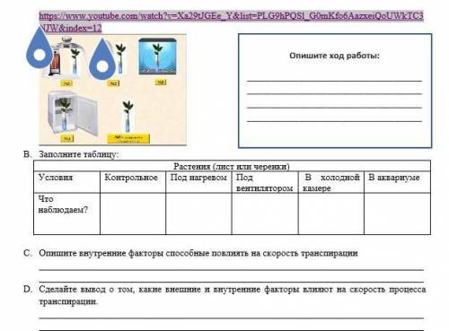 B. Заполните таблицу: Растения (лист или черенки)Условия Контрольное Под нагревом Под вентилятором В