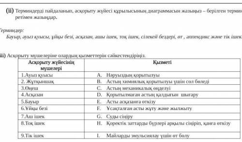 Асқорыту жүйесінің мүшелері Қызметі1.Ауыз қуысыНәруыздың қорытылуы2. ЖұтқыншақАстың химиялық қорытыл