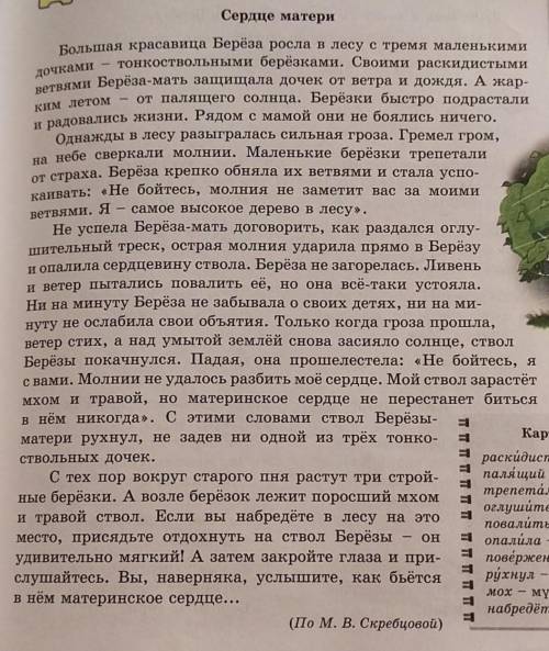 1)назовите героев сказки 2)От чего Берёза-мать защищала своих дочерей?3)что случилось Берёзой-матерь