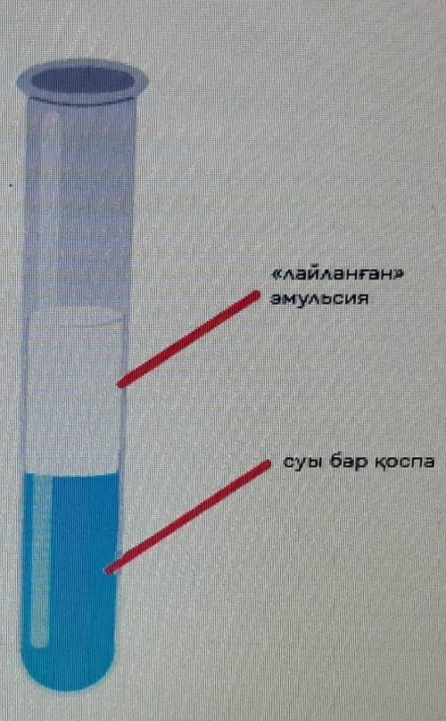 Суретке қандай тәжірибе бейнеленгенін анықта. Майларды анықтайтынГлюкозаны анықтайтынНәруызды анықта