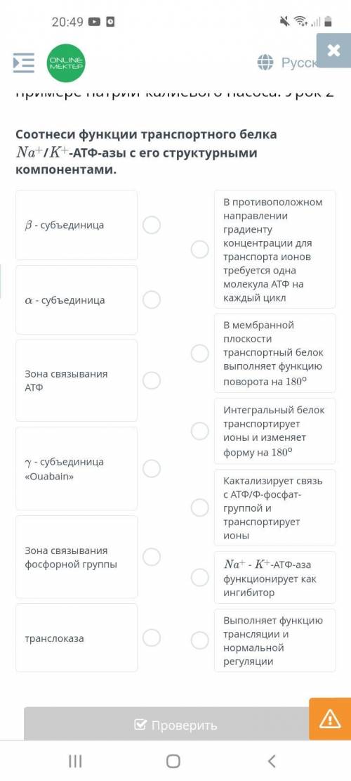 соотнеси функции транспортного белка Na+/K+-АТФ-азы с его структурными компонентами.