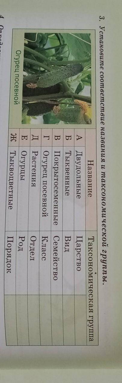 3. Установите соответствие названия и таксономической группы. НазваниеТаксономическая ​