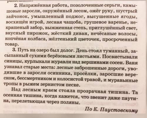 5 класс отметьте все суффиксы прилагательных и причастий!​