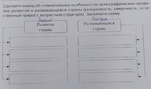 Сделайте вывод об отличительных особенностях демографических профи- лей развитой и развивающейся стр