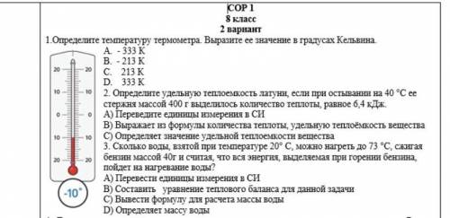 Определите температуру термометра. Выразите ее значение в градусах Кельвина. A. - 333 K B. - 213 C.