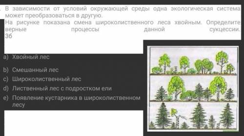 В зависимости от условий окружающей среды одна экологическая система может преобразоваться в другую.