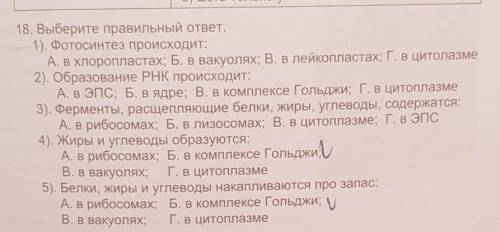 11. Из приведенных пар какая является правильной: а) хлоропласт — содержит ферменты; б) пероксисома