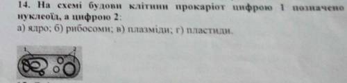 9. На вміст натрію і калію у сироватці крові найбільшим впливає гормон: А) Паратгормон Б) Кальцитоні