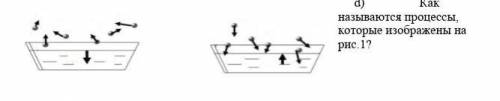 D) Как называются процессы, которые изображены на рис.1?​