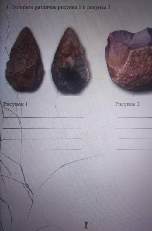 3. Опишите различие рисунка 1 и рисунка 2Рисунок 1Рисунок 2​