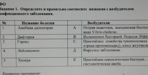 Определите и правильно соотнесите названия возбудителем инфекционного заболевания ​!