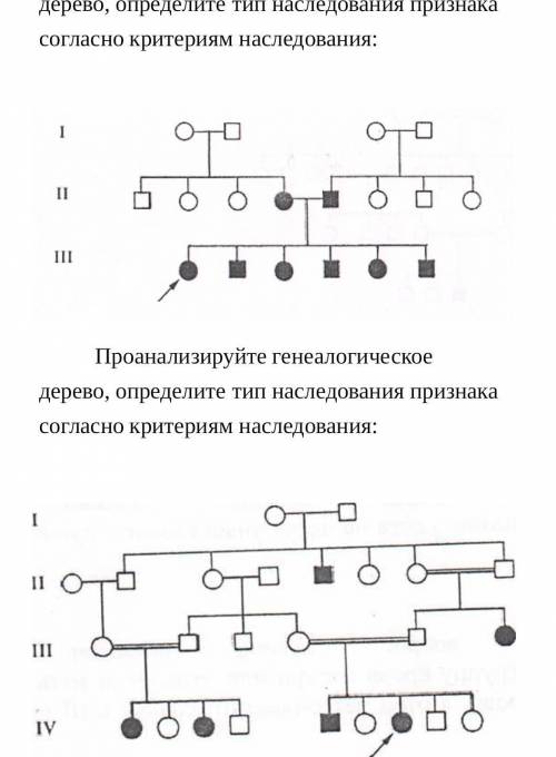 Проанализируйте генеалогическое дерево, определите тип наследования признака согласно критериям насл