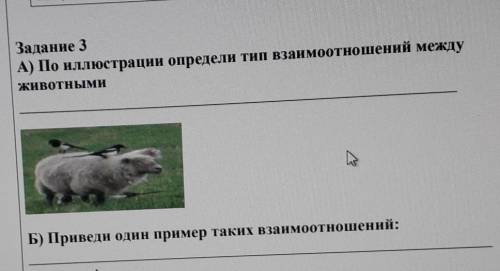 Задание 3 A) По иллюстрации определи тип взаимоотношений междуживотными В)Приведи один пример таких