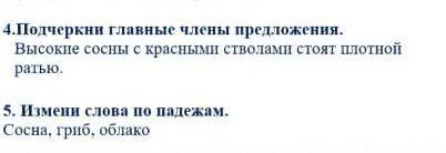 СО ВСЕМИ ЗАДАНИЯМИ, 30 МИН ОСТАЛОСЬ​