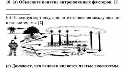 Объясните понятие антропогенных факторов. [1] (б) Используя картинку, опишите отношения между людьм