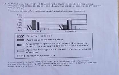 В 2015 г. в странах Z и Y один из фондов изучения общественного млнения провел среди совершеннолетни