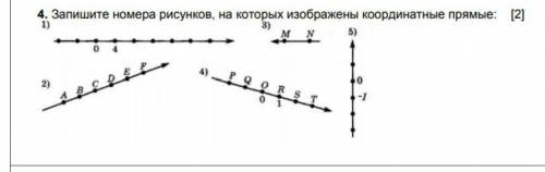 Запишите номера рисунков на которых изображены и не надо списывать у других ребят которые выпускали