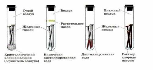 1)Внимательно рассмотрите данный рисунок и запишите факторы коррозии • препятствующие коррозии . ​