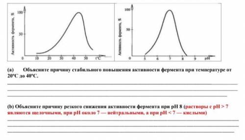 Учащиеся провели опыт по исследованию активности фермента слюны человека-амилазы от температуры и pH