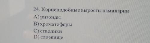 24. Корнеподобные выросты ламинарииА) ризоидыВ) хроматофорыС) стволикиD) слоевище​