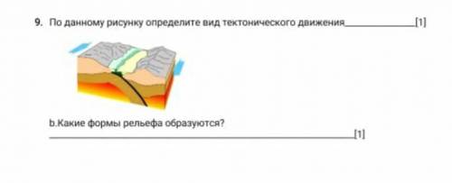 По данному рисунку определите вид тектонического движения б) какие формы рельеф образует​