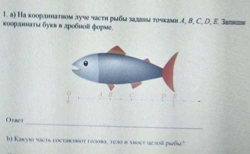 1. а) на координатном луче части рыбы заданы точками A, B, C, D, E Запиши координаты букв в дробной