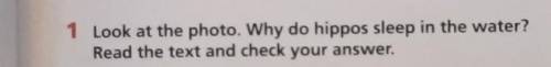 1 Look at the photo. Why do hippos sleep in the water?Read the text and check your answer..​