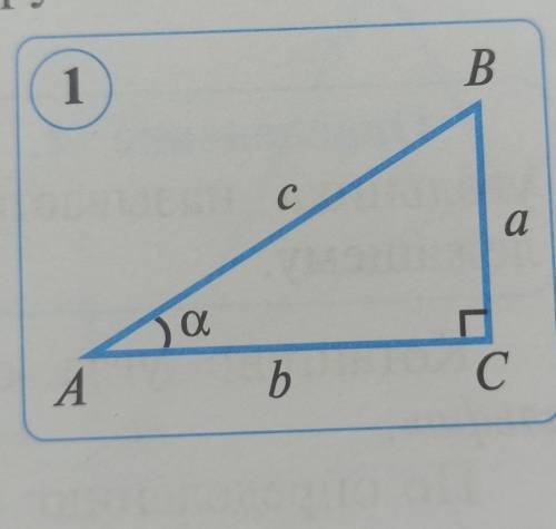 3. В ∆АВС <C = 90°, AB = 6 cm, BC = 5 cm, AC = 11 cm (см. рис. 1). Найдите значениясинуса, косину