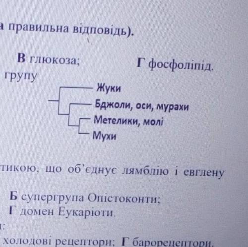 Определите какое вещество является гидрофильным:А витамин D; Б тестостерон; в глюкоза; г фосфолипид.