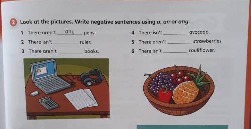 Look at the pictures. Write negative sentences using a, an or any Look at the pictures. Write negati