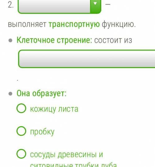 быстрооо В первом ответ не соединительная ткань