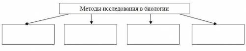 Составьте схему Методы исследования в биологии.