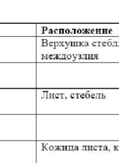 Задание No2. Заполните таблицу. Ткань Функции Расположение, биология​