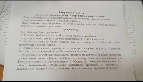 вас меня умоляю по биологии лабораторная работа. Второе задание в таблицу​