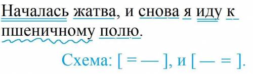 Синтаксический разбор предложения.началась жатва, и снова я иду к пшеничному полю ​