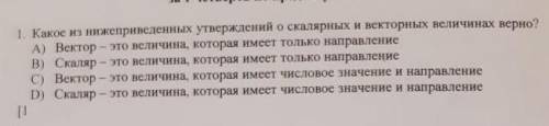 Какое из ниже приведённых утверждений о сколярных и вертикальных велечинах верны?​