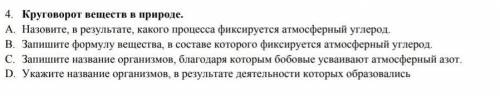 Круговорот веществ в природе​