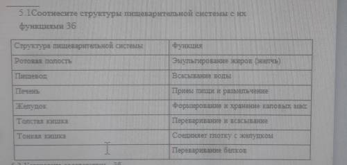 Соотнесите структуры пищеварительной системы с их функциями 3б Структура пищеварительной системы Фун