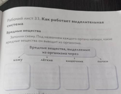 Вредные вещества выделяемые из организма через кожу легкие кишечник почки