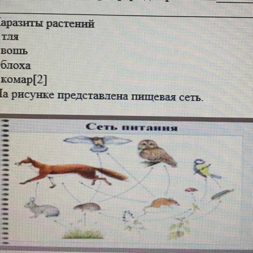 (а) Назовите продуцент из данной пищевой сети. (b) Составьте одну пищевую цепь, состоящую из трёх зв