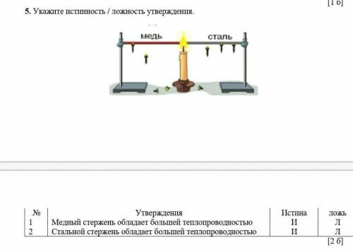 Укажите истинность / ложность утверждения. ​