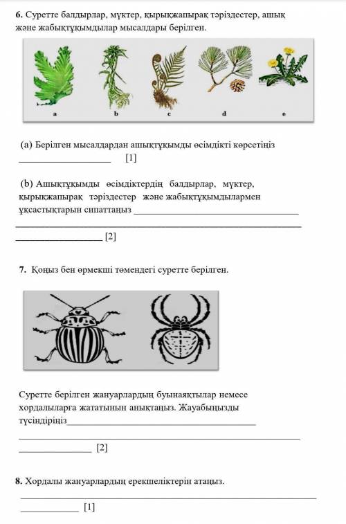 керееек км бледы айтып жберындерш?!​